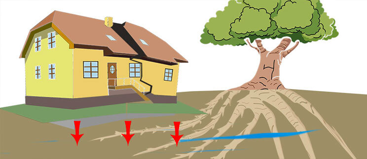 Схематичное изображение опасности корней
